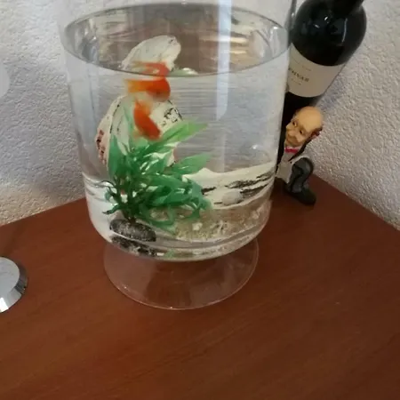 شقة Radun سبليت