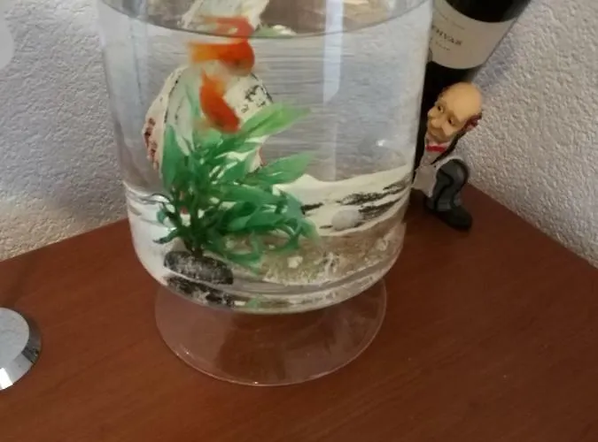 Апартаменты Radun Сплит